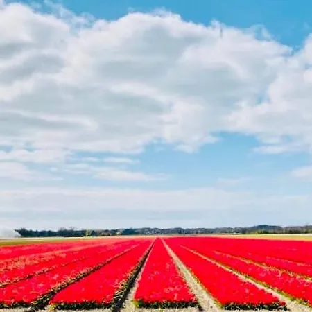 Canal House - 阿尔克马尔