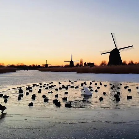 Accommodatie bij particulieren Canal House -
