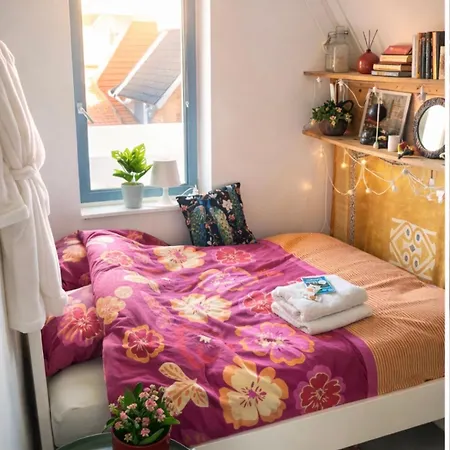 Accommodatie bij particulieren Canal House - Alkmaar