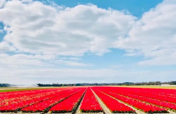 Canal House - Алкмар