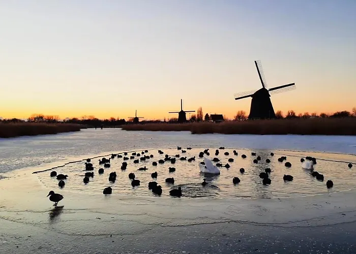 Accommodatie bij particulieren Canal House -